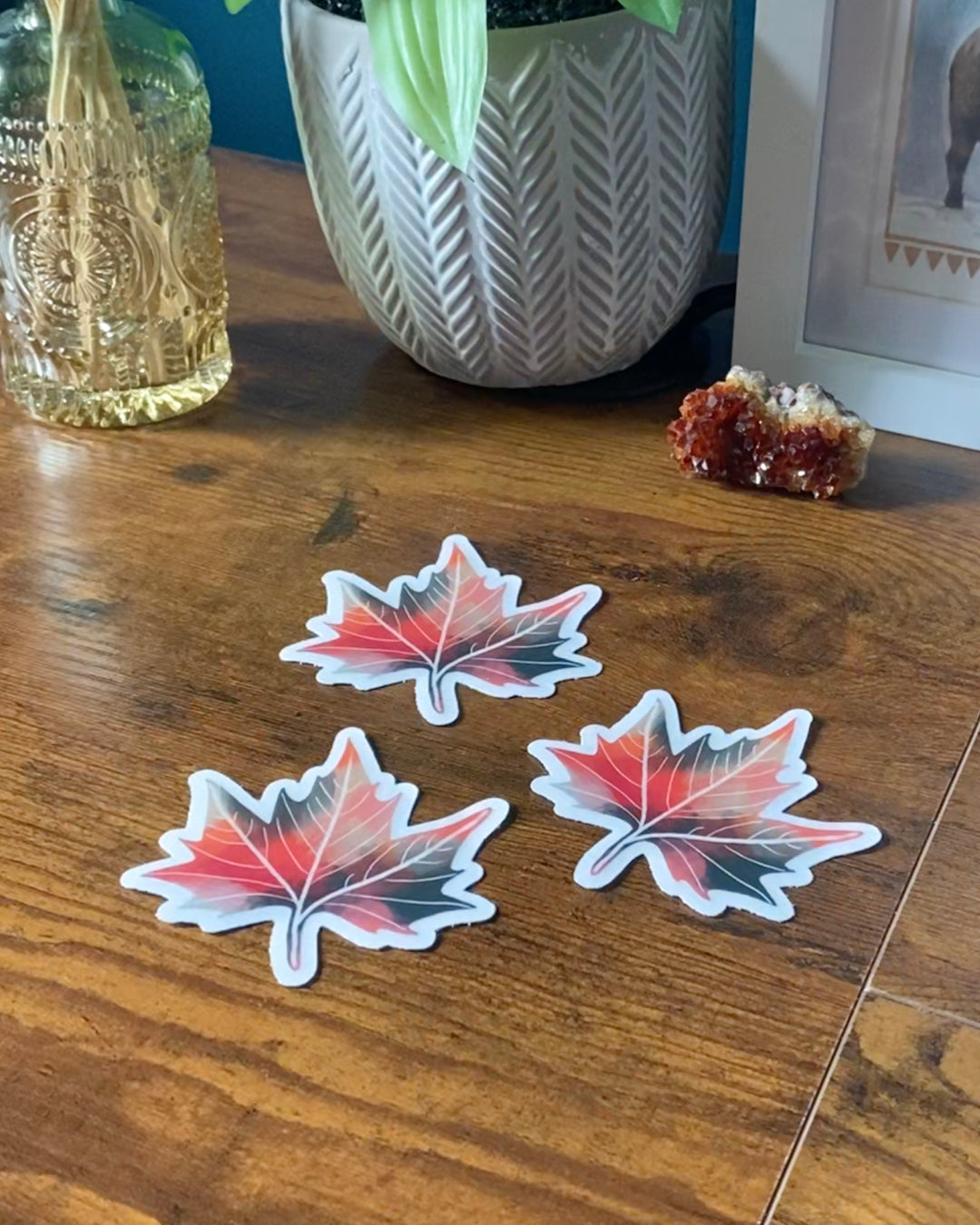 Maple Leaf Clear Sticker — Moody