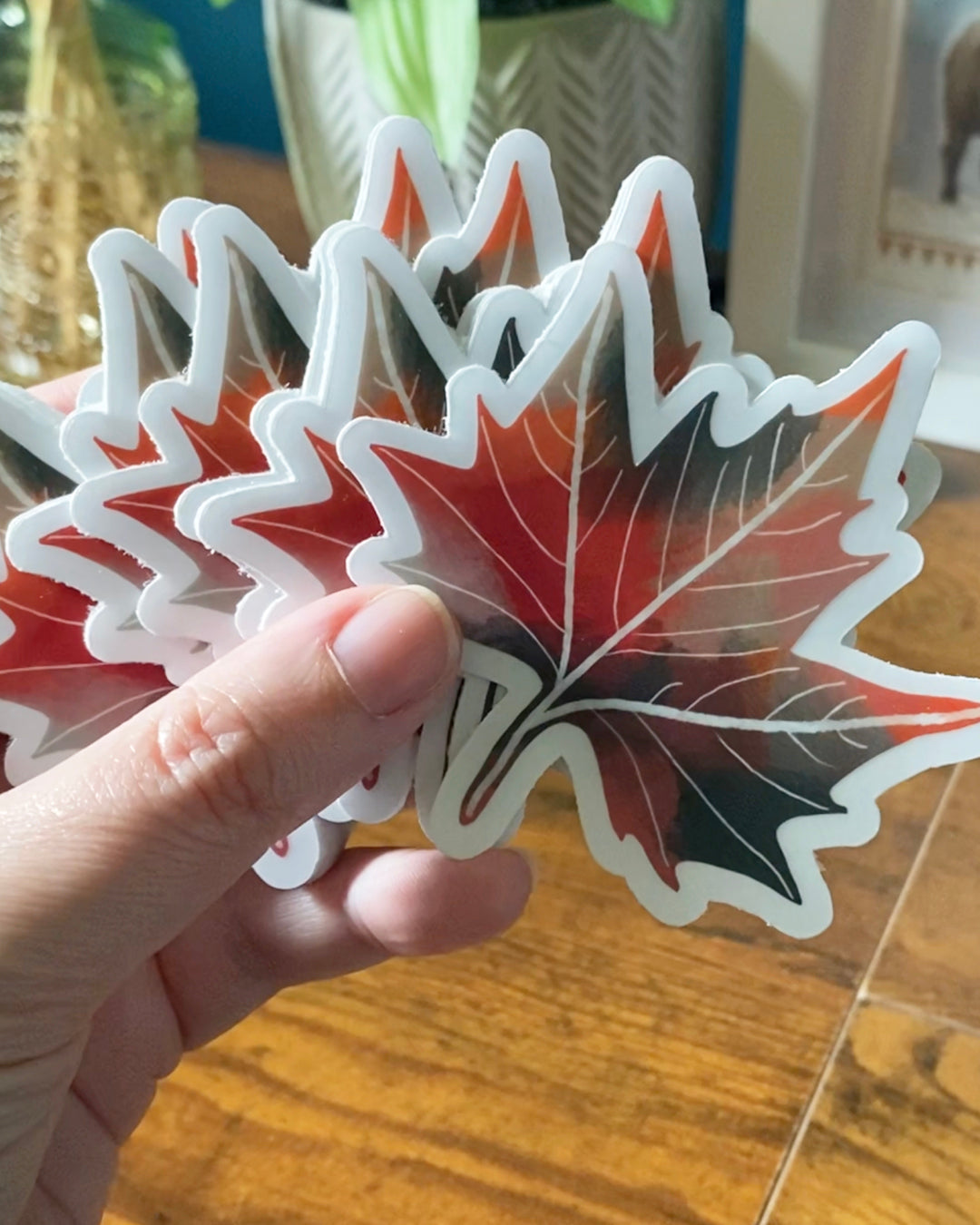 Maple Leaf Clear Sticker — Moody