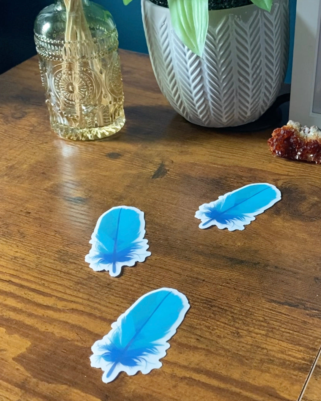 Feather Clear Sticker — Teal