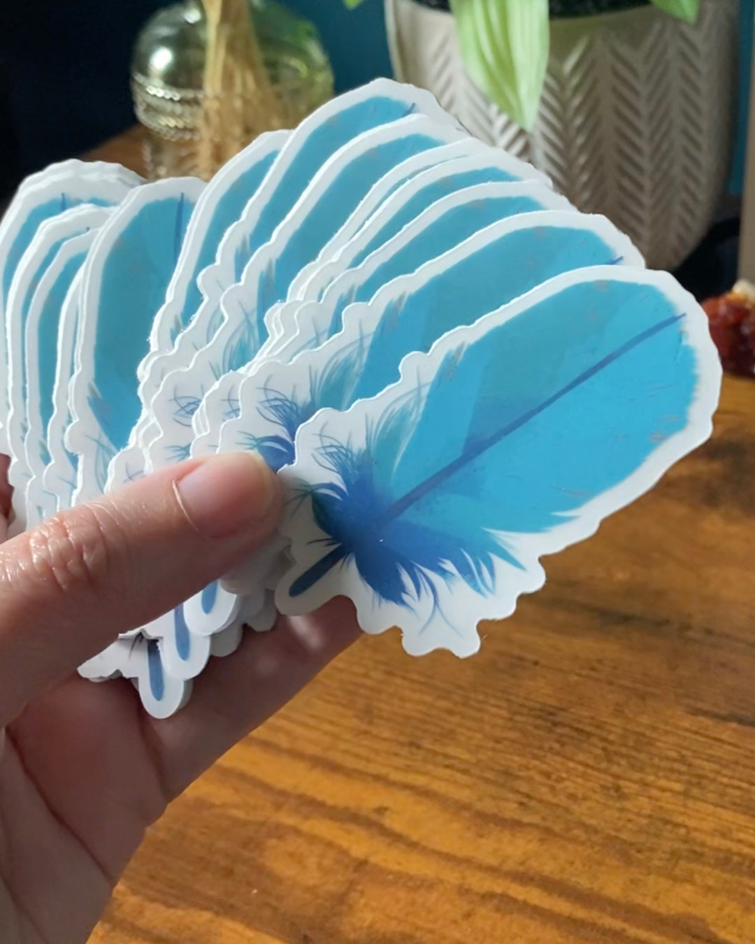 Feather Clear Sticker — Teal